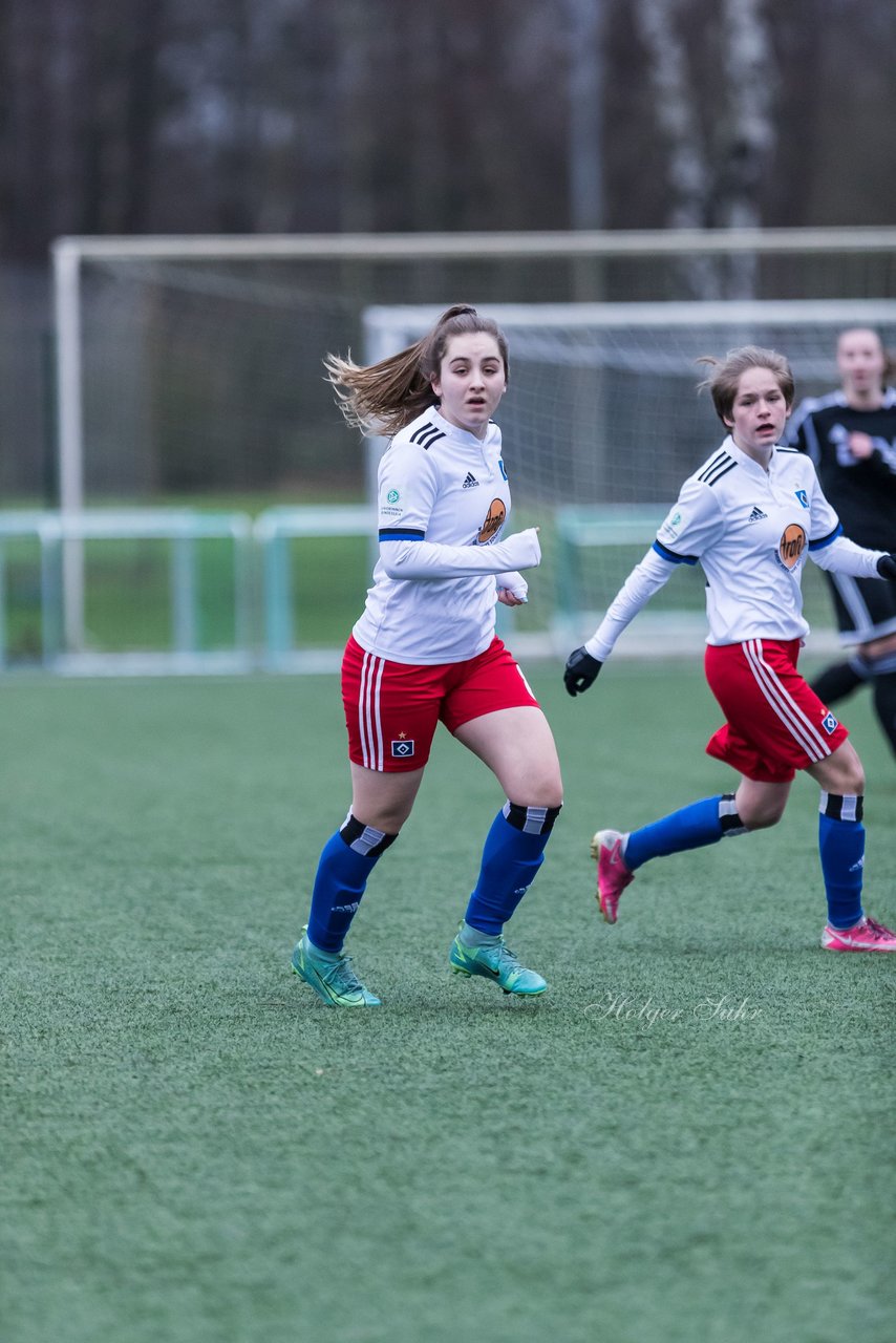 Bild 102 - wBJ HSV - F VfL Jesteburg : Ergebnis: 6:1